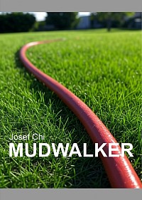 Cover 37