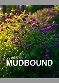 Cover 39